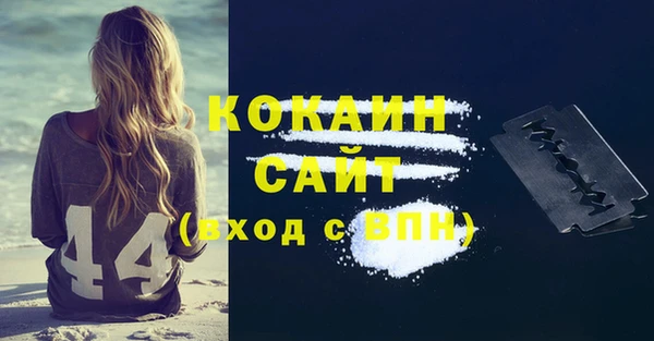 тгк Каменка