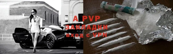 тгк Каменка