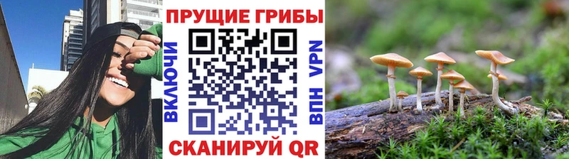 даркнет сайт  Кондрово  Псилоцибиновые грибы Cubensis 